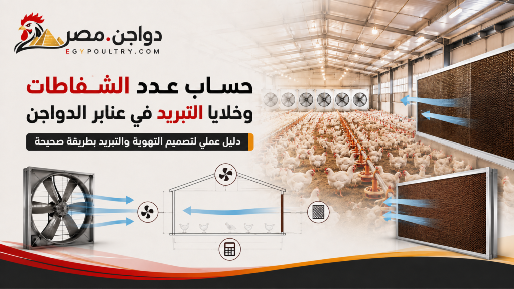 حساب عدد الشفاطات وخلايا التبريد في عنابر الدواجن